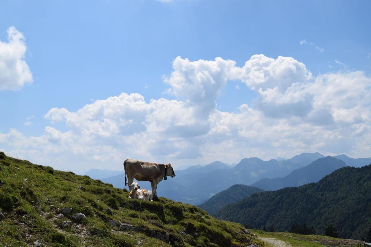 Chiemsee Chalet Frasdorf Εξωτερικό φωτογραφία